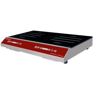 Induktionsplatte 2 Kochfelder (2x 1750 watt), Touch-Tasten (560x360mm)