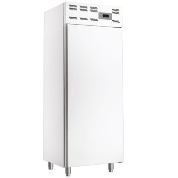 Umluftgefrierschrank 20x EN 600x400, statisch, (500 Lit.) - Skinplate weiß (725x675x1970mm)
