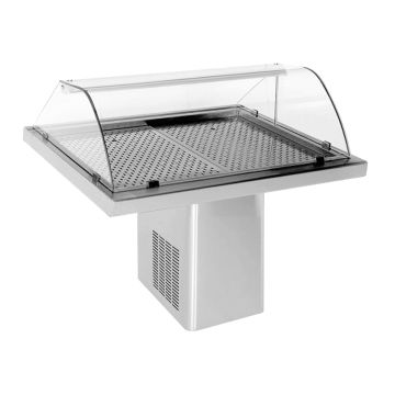 GEKOELDE VISVITRINE 1.4