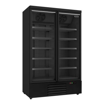 VRIESKAST 2 GLASDEUREN ZWART