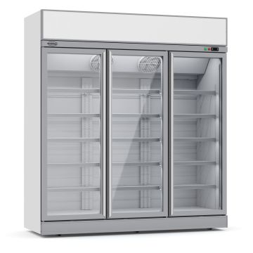 VRIESKAST 3 GLASDEUREN